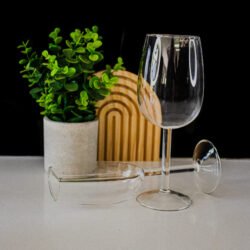 Half wine glasses_oval tray_plant_V3