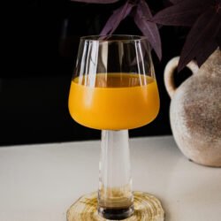 Single stand_wine glass_Filled_pot plant