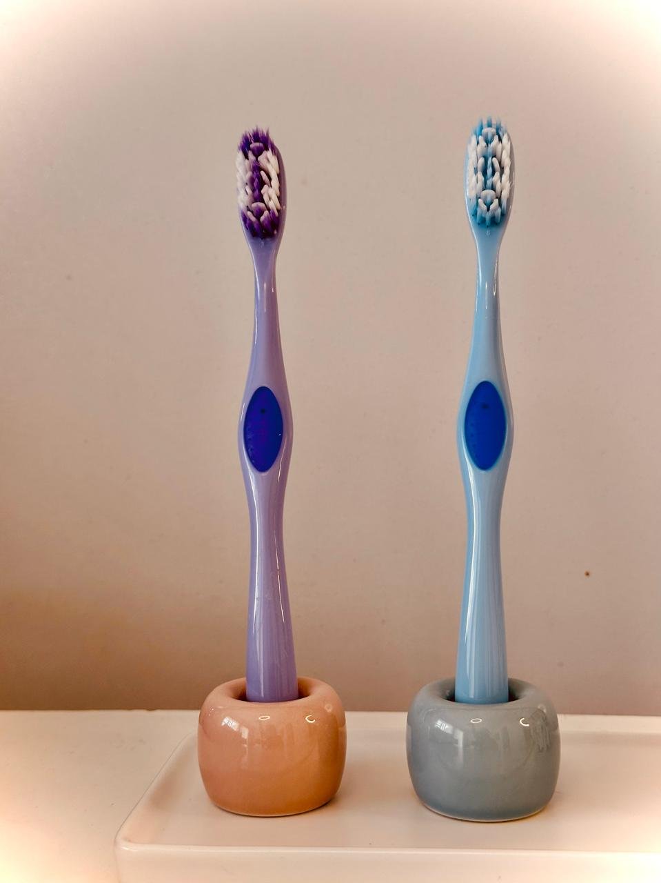 Swanky Toothbrush Holder