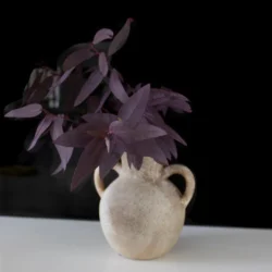 accenoba-rustic-vase-foliage-display