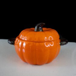 Orange Container_Closed