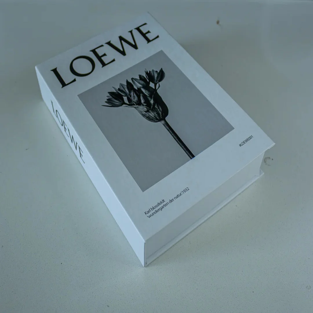 accenoba-decorative-book-box-loewe-minimal-design